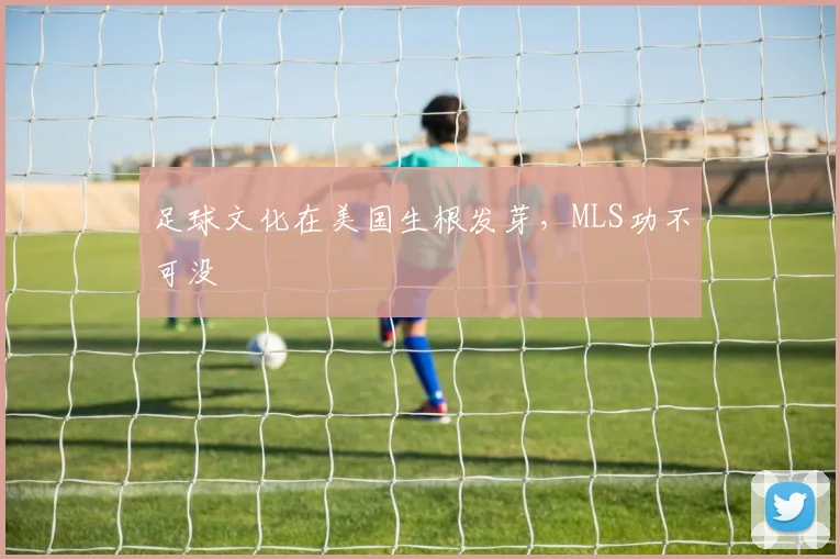 足球文化在美国生根发芽，MLS功不可没