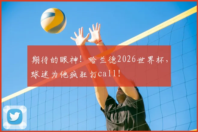 期待的眼神！哈兰德2026世界杯，球迷为他疯狂打call！