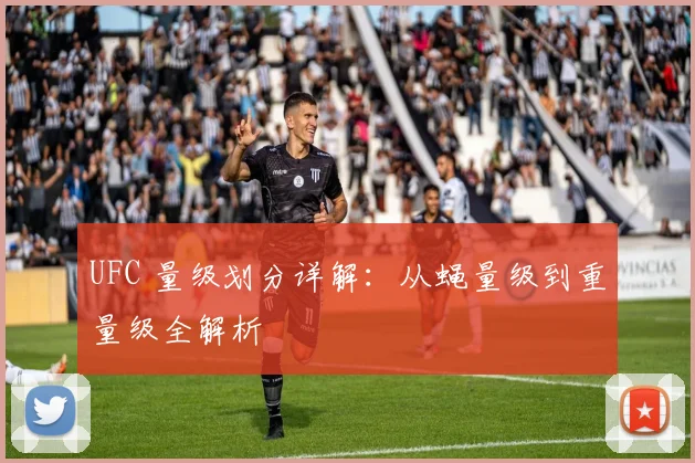 UFC 量级划分详解：从蝇量级到重量级全解析