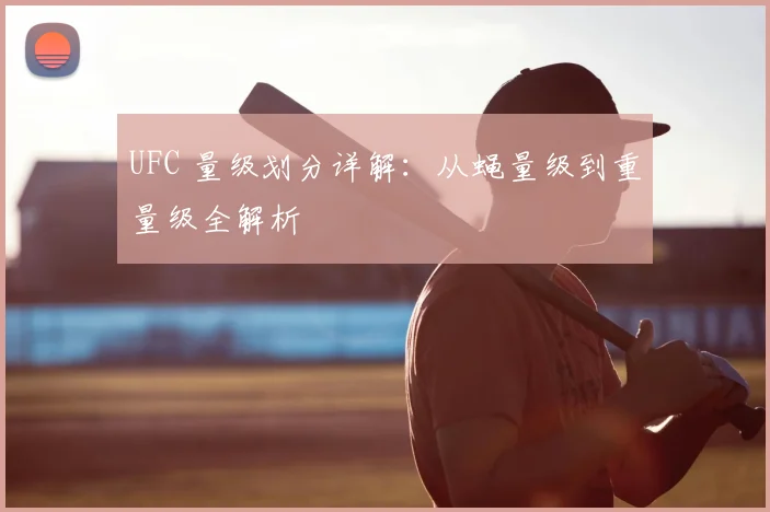 UFC 量级划分详解:从蝇量级到重量级全解析
